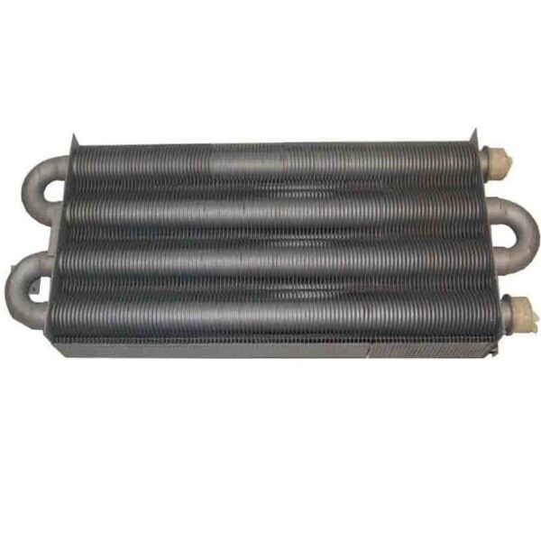 schimbator-primar-Baxi-JJJ005646410.jpg